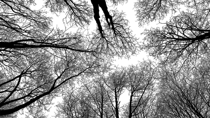 微脉发布健康管理领域大语言模型应用CareGPT